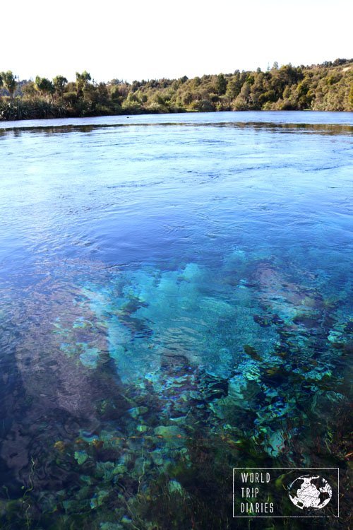 The water of Pupu Springs....