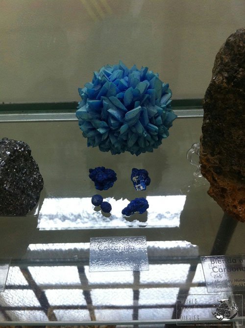 Blue Calcarenite