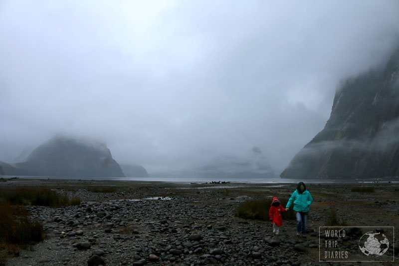 milford sound on a foggy, rainy day and low tide.